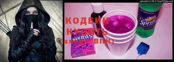 СК Пересвет