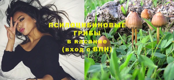 бошки Алзамай