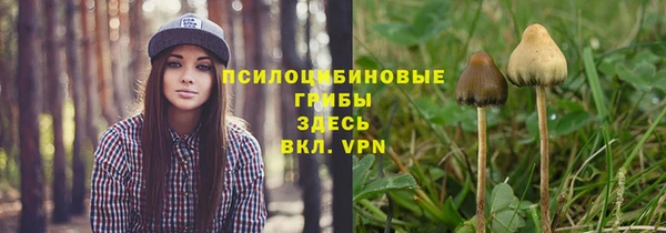 мяу мяу мука Абинск