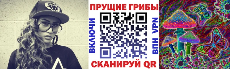 Псилоцибиновые грибы мухоморы  Тула 